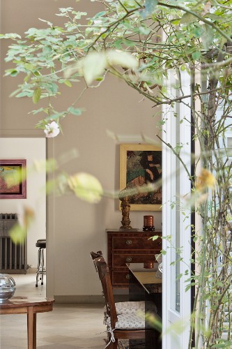 Blick von der Terrasse durch die Äste … – Bild kaufen ...