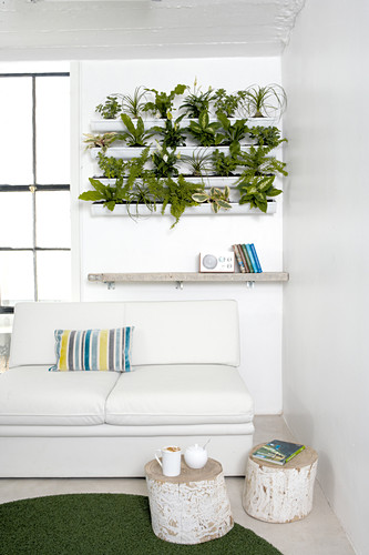 Plants in white window box fixed to wall and white sofa in corner of living room