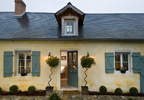 Pflanzendekoration Bilder – Interior Design-Fotos kaufen living4media