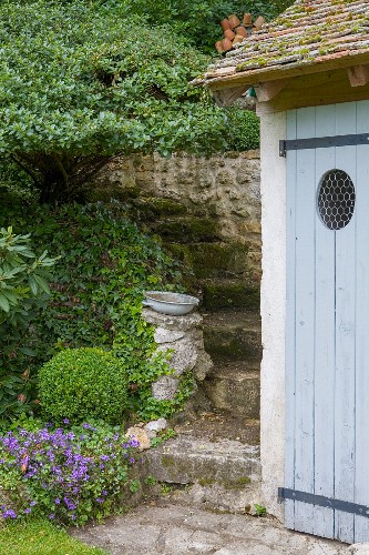 Buchsbaumkugel Bilder – Interior Design-Fotos kaufen living4media