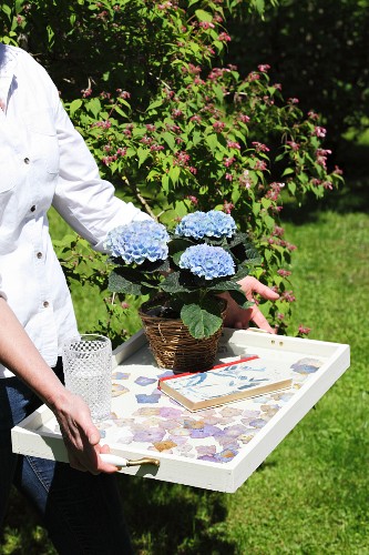 Woman carrying tray decorated with pressed hydrangeas flowers