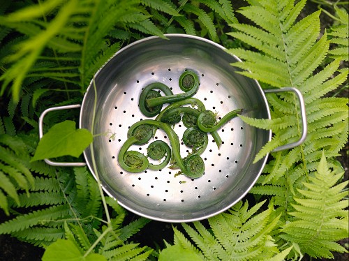 green metal colander