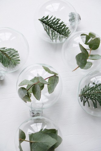 Leaves and fir sprigs in glass baubles