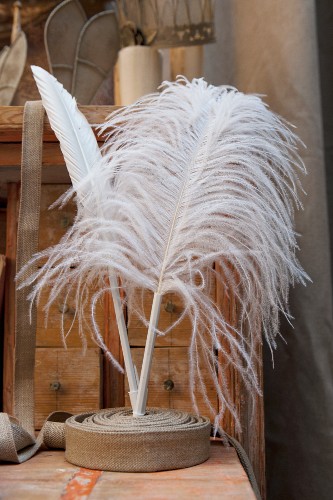 buy white feathers