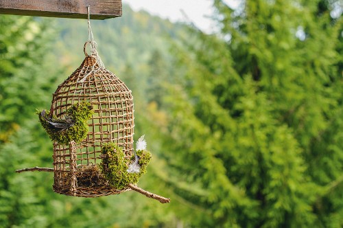 Wicker birdcage with moss birds hung from wooden balcony