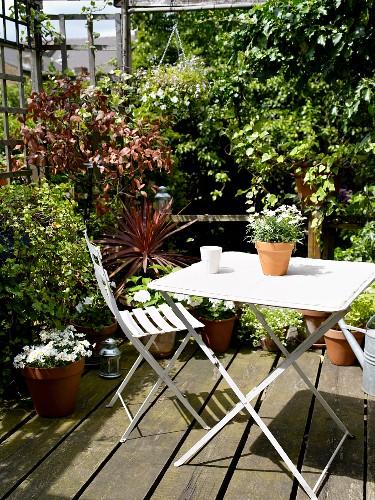 White Garden Furniture And Potted Plants Buy Image Living4media