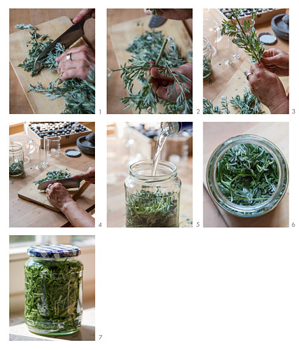 Instructions for making wormwood tincture