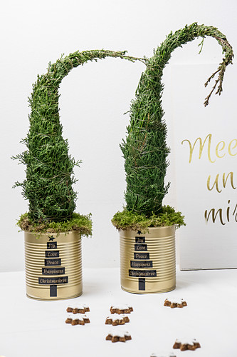 little xmas trees