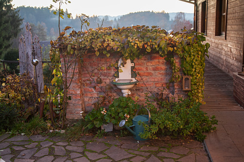 Bewachsen Bilder – Interior Design-Fotos kaufen living4media