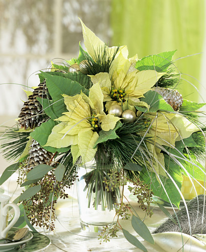 Tannenzapfen Bilder – Interior Design-Fotos kaufen living4media