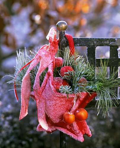 Tannen Bilder – Interior Design-Fotos kaufen living4media