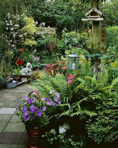 Blumengarten – Bild kaufen – 369937 living4media