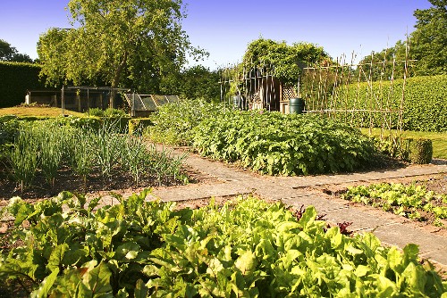 Beete und Wege in einem biologisch bewirtschafteten, englischen Garten