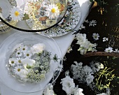 White Blossoms for Table Decoration