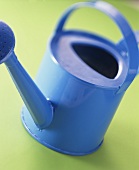 A blue watering can