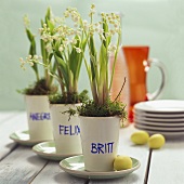 Easter decoration: lilies-of-the-valley in beakers with names