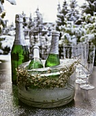 Piccolo, champagne bottle & glasses against wintry landscape