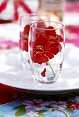 Two glasses with flower design on white plate