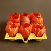 Egg box with tulips and eggs