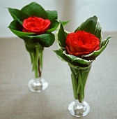 Red roses in glass vases