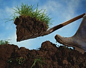 Picture symbolising 'digging up'
