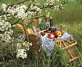 Picnic basket under flowering fruit tree