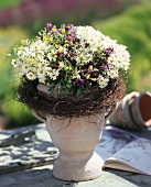 Summer marguerites and French lavender in goblet