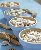 Table decoration with snail shells and sea shells