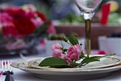 Pink rose on a plate