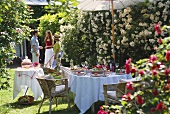 Garden table laid for party in front of cascade of white roses