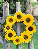 A wreath of sunflowers hanging on a fence