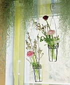 Hanging glass vases of Ranunculus & Hoya; Spanish moss
