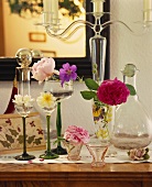 Liqueur and wine glasses with single flowers