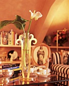 White Bog calla in original vase