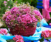 Hydrangea flowers and sea lavender in pink basket