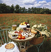 Table in poppy field with wine, bread, vegetables, fruit etc