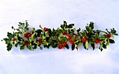 Garland of holly on white background
