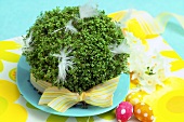 Cress Easter decorations for children 