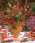 Herbstlicher Strauss aus Hagebutten in orangefarbener Vase
