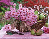 Pink asters, meadow grass and pears in a basket