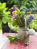 Bunch of flowers in watering can, cat in background