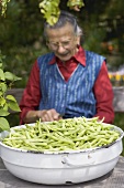 Country woman trimming green beans out of doors