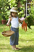 A little girl in a garden holding a basket and carrots