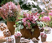 Winter arrangement of Erica, ornamental cabbage & pine cones