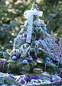 Kleiner gebundener Weihnachtsbaum mit Rauhreif