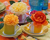 Roses in small cups