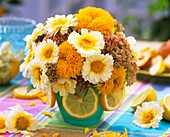 Helianthus 'Santa Fe' (Sonnenblume), Tanacetum (Wucherblumen) und Fetthenne, Zitronenscheiben