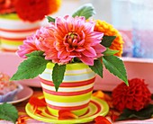 Dahlias in a cup and saucer