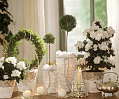White Christmas arrangement with Azaleas and myrtle wreath