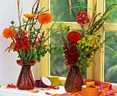 Verschiedene Blumen & Kräuter dekorativ auf einer Fensterbank